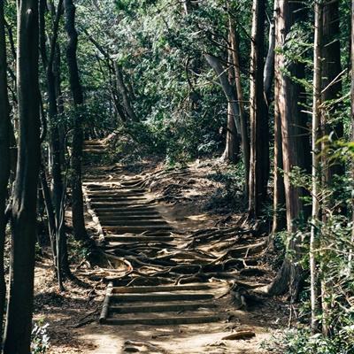 英雄先生手机版下载